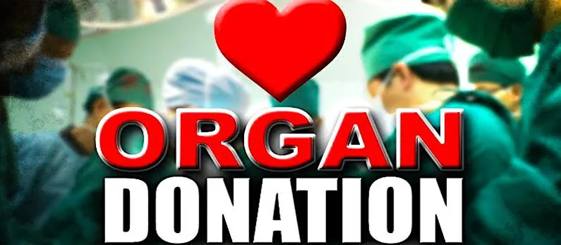 Organs from drug overdoses could help transplant shortage addiction recovery ebulletin organ donors help shortage
