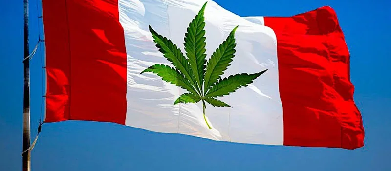 As Canada legalizes pot, other countries likely to follow addiction recovery ebulletin legal pot canada