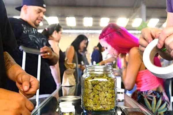 Illegal drug classifications are based on politics not science addiction recovery ebulletin drug classifications