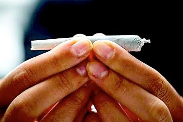 Cannabis Treatment Counters Addiction addiction recovery ebulletin cannabis treatment