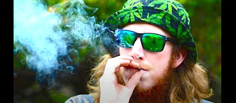 Cannabis: Why don’t its illnesses and deaths command media headlines? addiction recovery ebulletin Cannabis