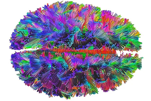 The hidden links between mental disorders addiction recovery ebulletin mental disorder links