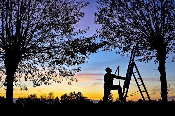 Rehab Programs Promise Recovery Through Work — But Deliver Slave Labor