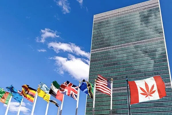 UN Removes Cannabis From Strictest Drug Category