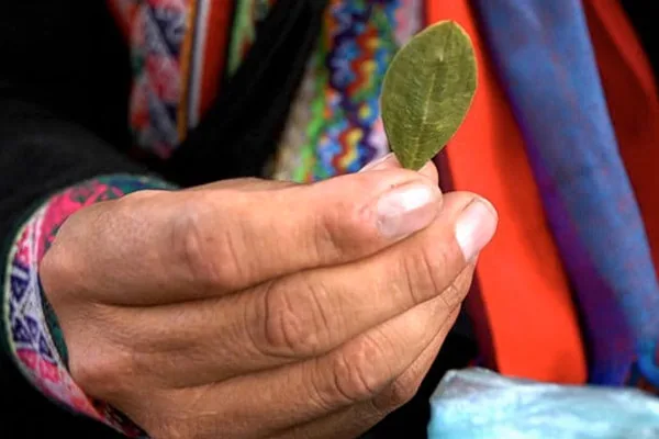Colombia Considers Cocaine Legalization