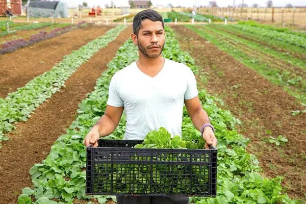 Men Find Community, Self-worth at Recovery Farm