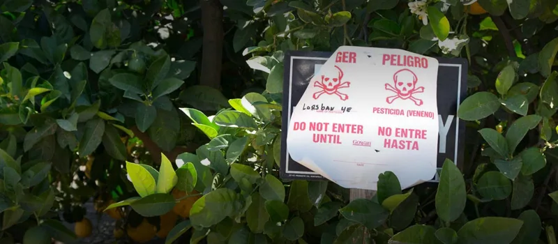 EPA “Exposed American Children” To Brain-Damaging Pesticide