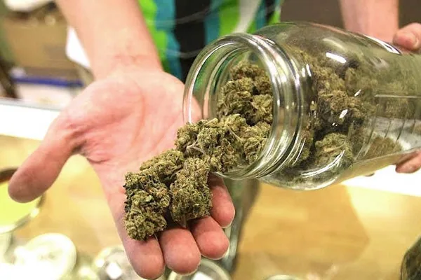 68% Of Adults – A Record HIGH – Support Legalizing Marijuana
