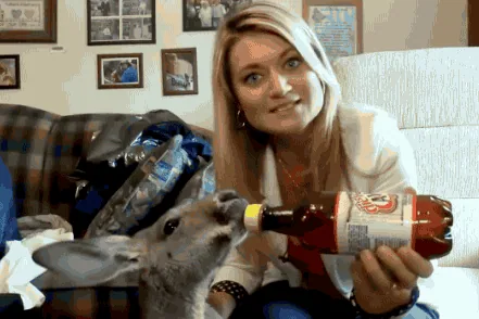 Australia is the Drunkest Country In the World
