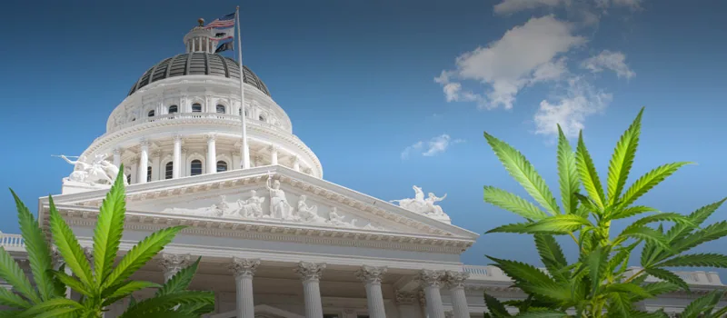 In 1972, Congress Was Advised to Repeal Cannabis Laws