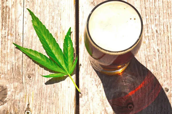 Are the Effects of Cannabis and Alcohol in the Body the Same?