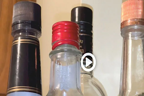 The Impact of Adult Alcoholism on Children