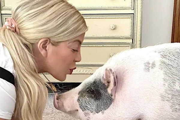 Dean McDermott says Tori Spelling Invited Her Pet Pig Into Bed