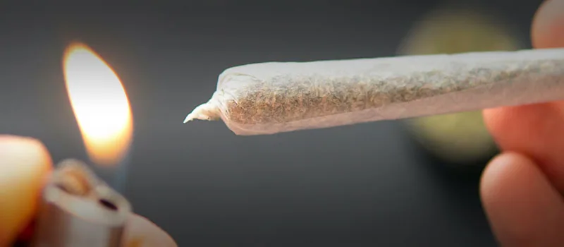 Cannabis Use Yields Risk of Heart attack and Stroke