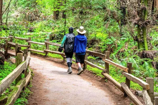 Why Nature Is Your Best Ally in Recovery