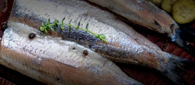 Neuroscientist Shares 3 Foods To Grow New Brain Cells