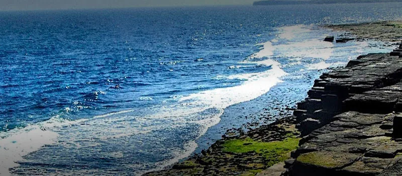 Nature As A Road To Recovery