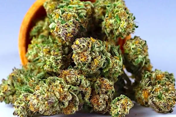 We asked scientists: Is it okay to use a little bit of cannabis?